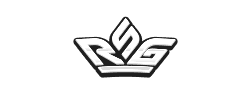 RSG LOGO