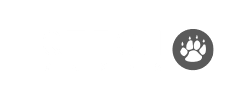 logo-QT老虎機